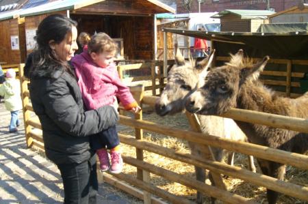 rabiaa+sara